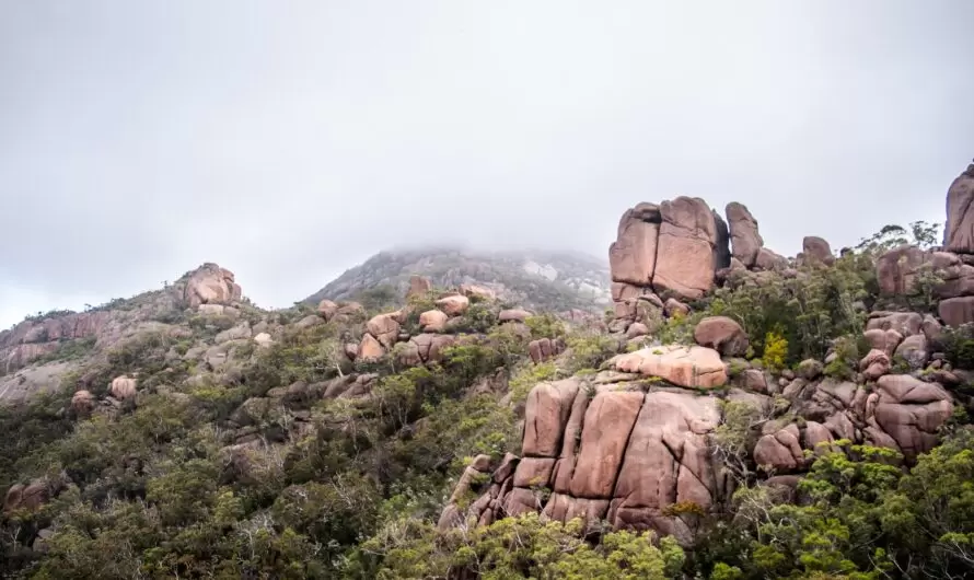 Comment explorer les plus beaux sentiers d&rsquo;Australie grâce au Overland Track Trek ?