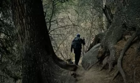 Futta Saur Trek