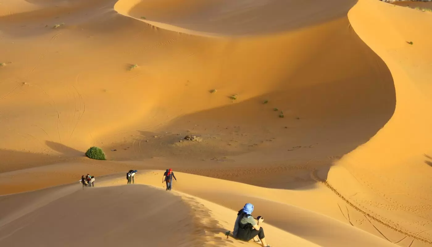 Un trek unique au Sahara tunisien