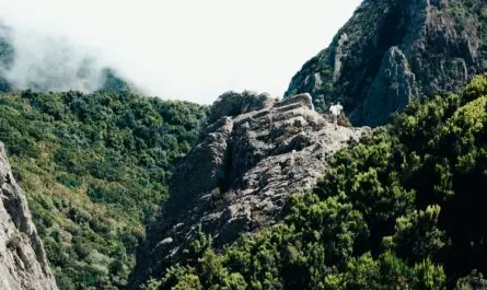 Randonnée à la Gomera
