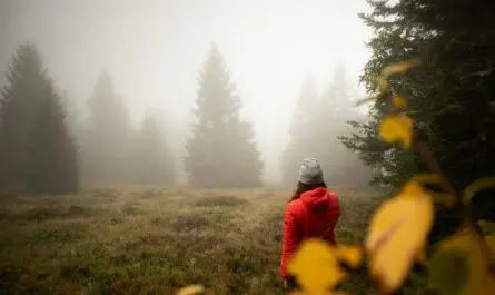 Randonnées dans les Vosges