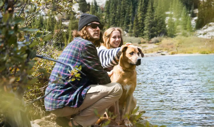 Les gadgets indispensables pour randonner avec son chien