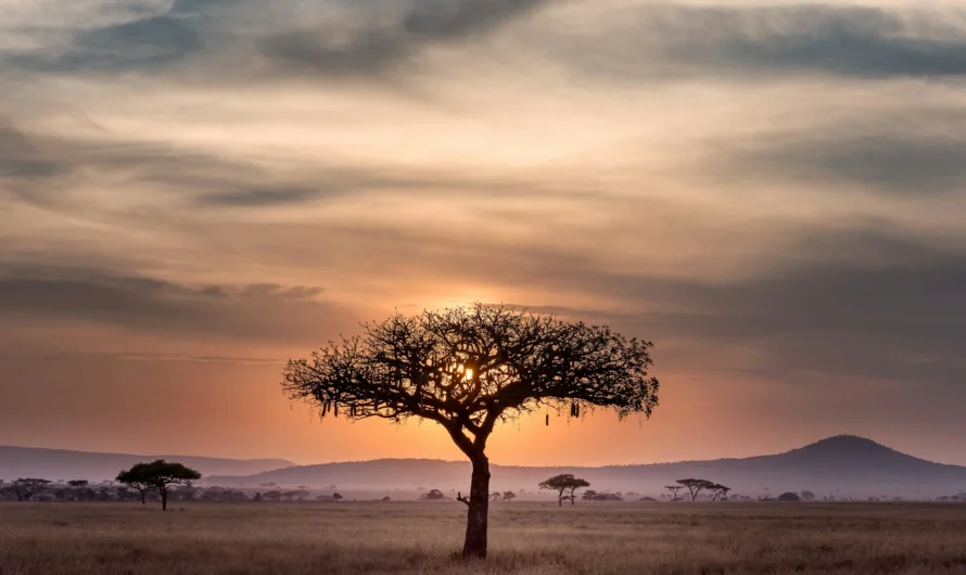 Où faire de la randonnée en Afrique du Sud ?