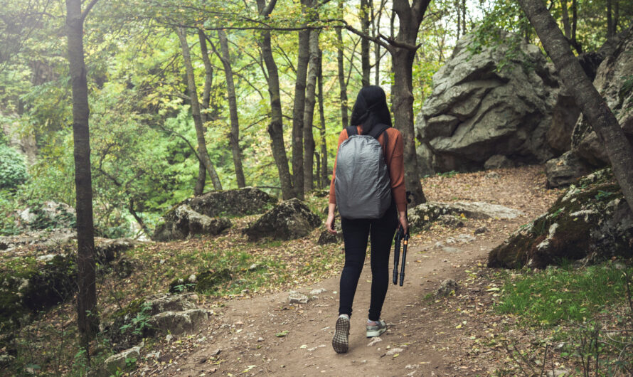 Préparer sa randonnée : pourquoi lire un guide spécialisé ?