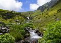 A picturesque mountain stream flowing through the lush greenery of the Hautes-Pyrénées in Occitanie, France.