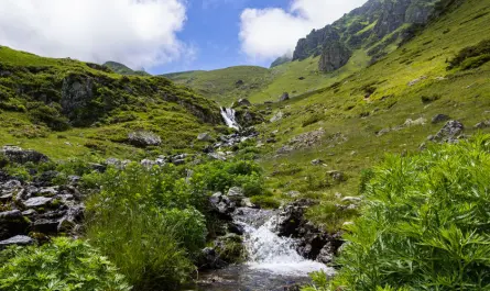 A picturesque mountain stream flowing through the lush greenery of the Hautes-Pyrénées in Occitanie, France.