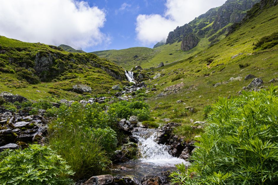 A picturesque mountain stream flowing through the lush greenery of the Hautes-Pyrénées in Occitanie, France.
