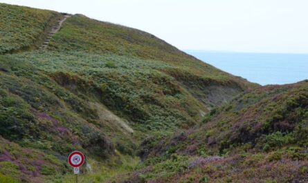 Scenic view of grassy hills leading to the ocean in Camaret-sur-Mer, France.