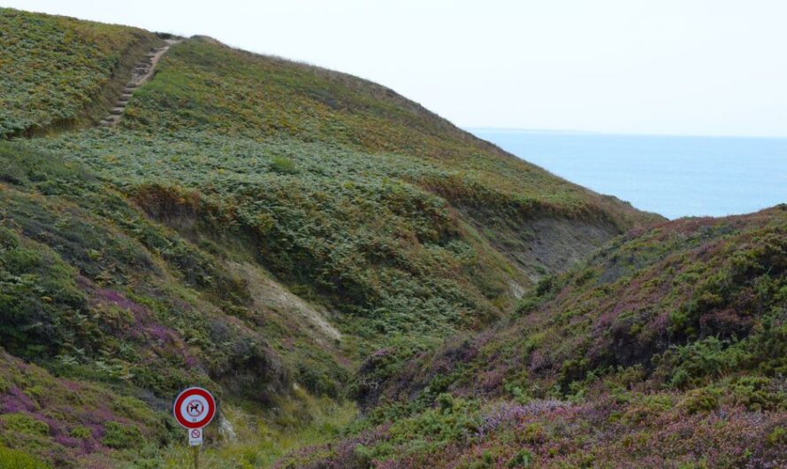 GR 34 Bretagne à vélo : guide pratique 2026 (tronçons, logistique)