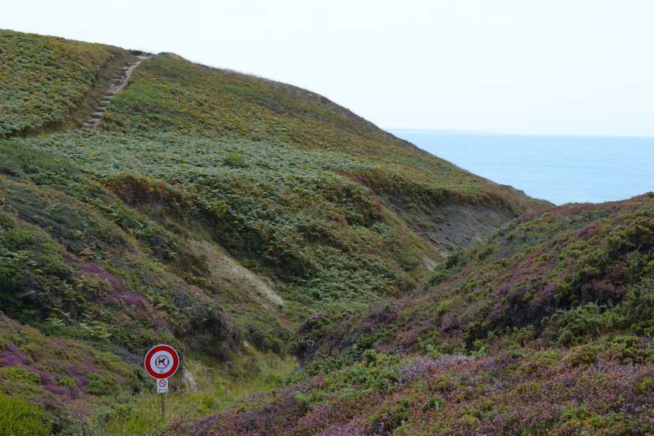 Scenic view of grassy hills leading to the ocean in Camaret-sur-Mer, France.