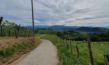 Chemin de Compostelle 7 jours : tronçons faciles pour débutants