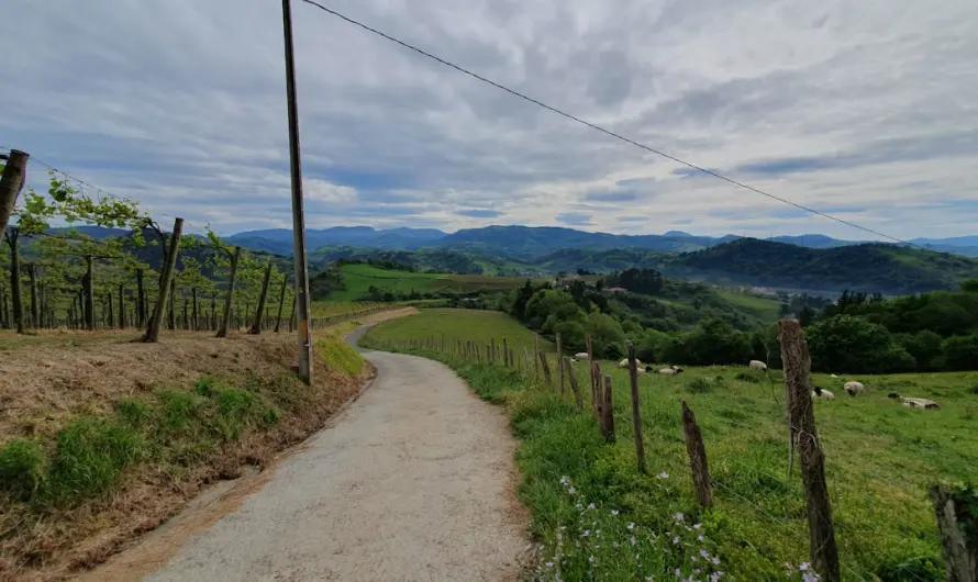 Chemin de Compostelle 7 jours : tronçons faciles pour débutants