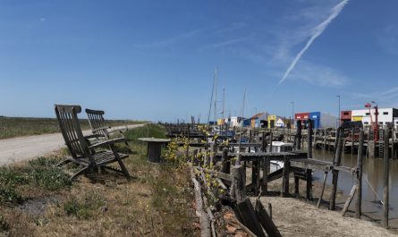 Randonnée en Vendée : guide complet des sentiers 2026