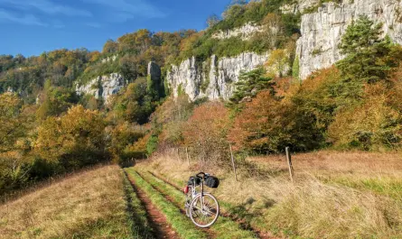 a bike is parked on the side of a trail