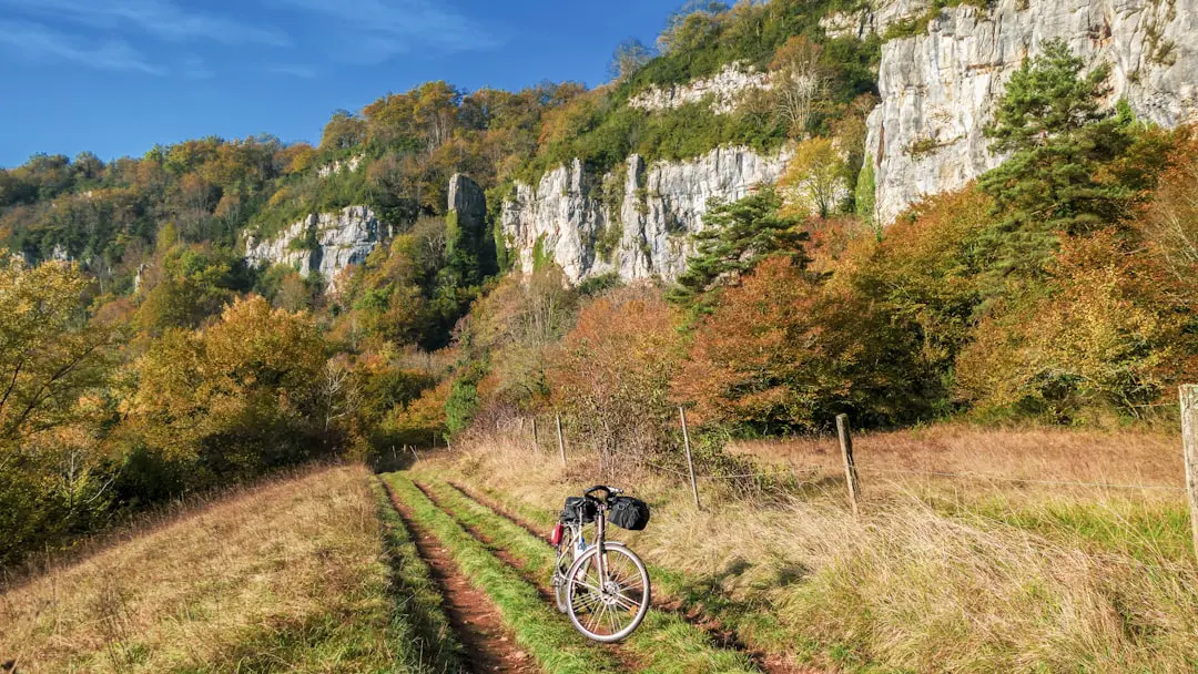a bike is parked on the side of a trail
