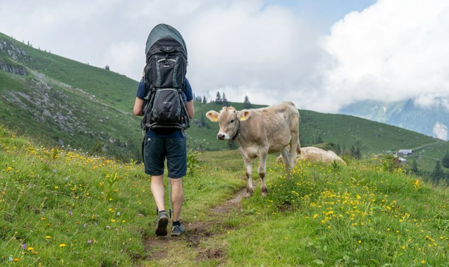 Randonnée gourmande sur les GR : étapes et haltes locales