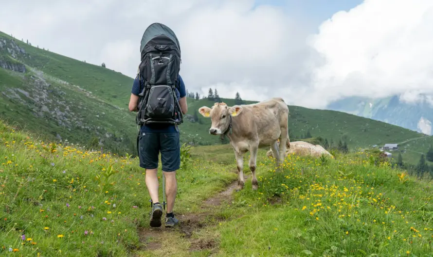 Randonnée gourmande sur les GR : étapes et haltes locales