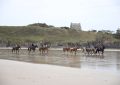 Group enjoying horseback riding along the scenic beach in Bretagne, France, under a clear sky.