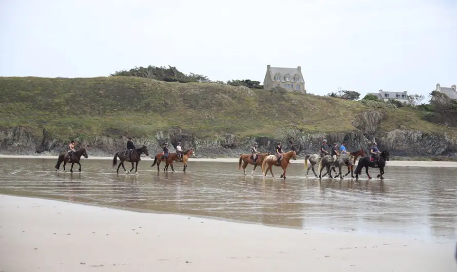 Randonnée à cheval sur les GR : guide complet 2026