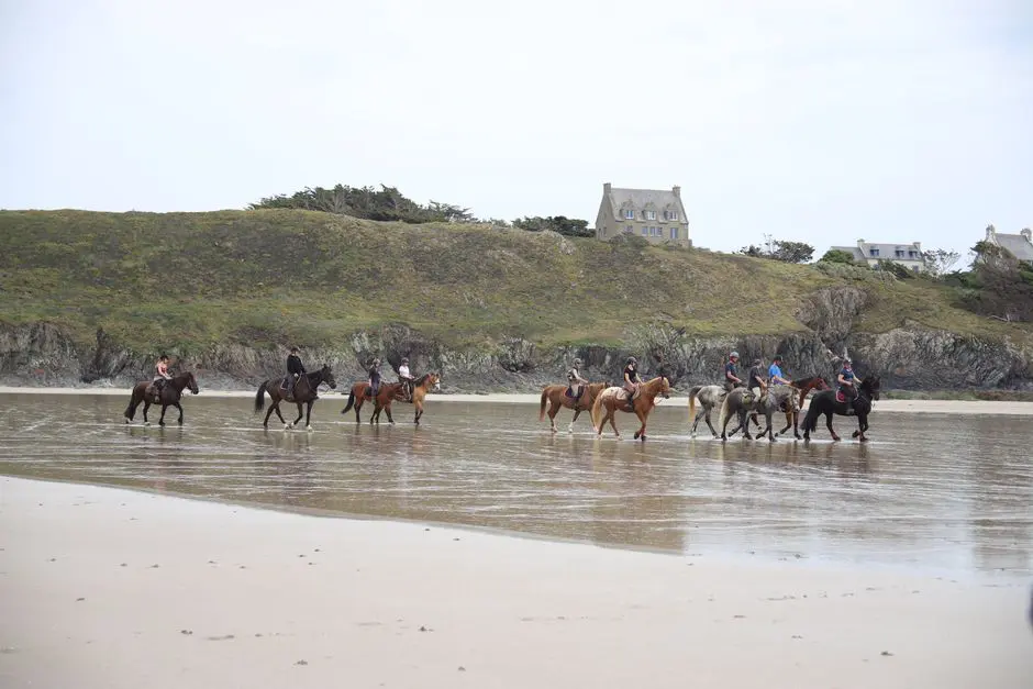 Group enjoying horseback riding along the scenic beach in Bretagne, France, under a clear sky.